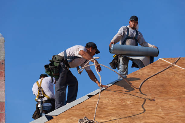 Best Slate Roofing Contractor  in Grass Lake, MI