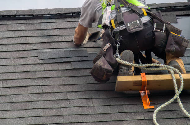 Best Local Roofing Companies  in Grass Lake, MI