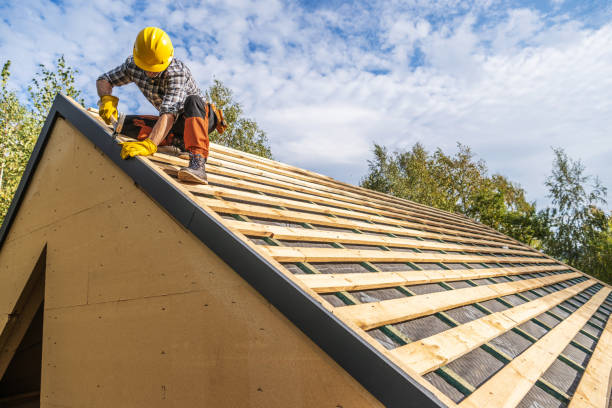 Best Shingle Roofing Installation  in Grass Lake, MI