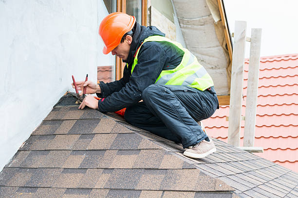 Best Roof Maintenance Services  in Grass Lake, MI