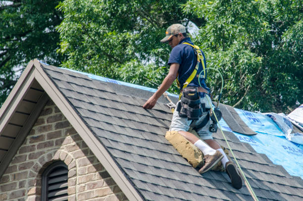 Quick and Trustworthy Emergency Roof Repair Services in Grass Lake, MI